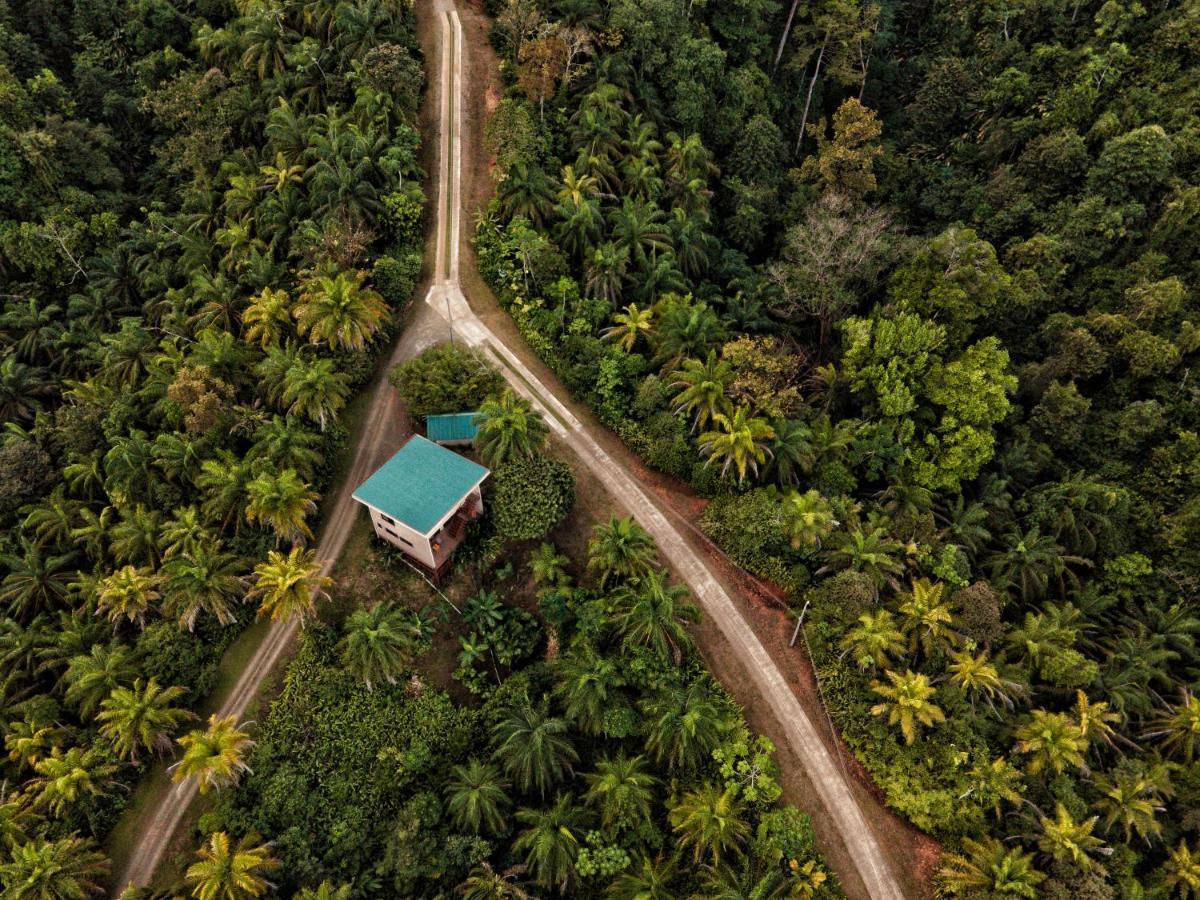 Corcovado Private Villas - Corcovado Private Reserve Puerto Jimenez Exterior photo