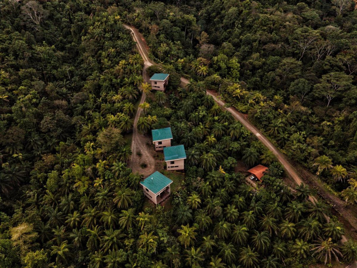 Corcovado Private Villas - Corcovado Private Reserve Puerto Jimenez Exterior photo