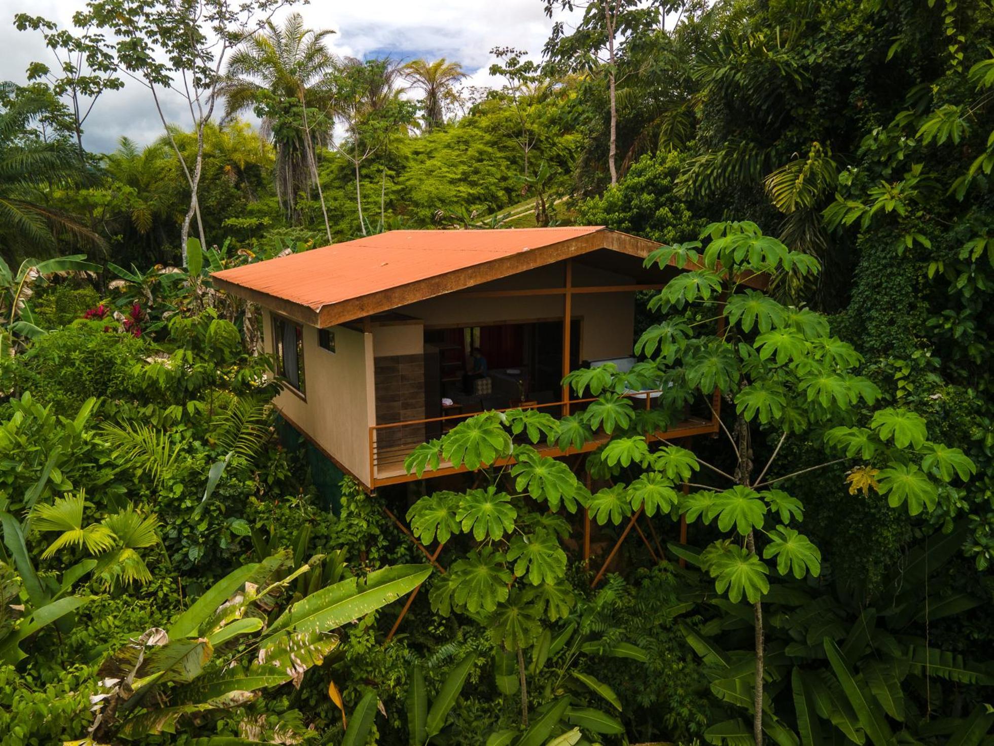 Corcovado Private Villas - Corcovado Private Reserve Puerto Jimenez Exterior photo