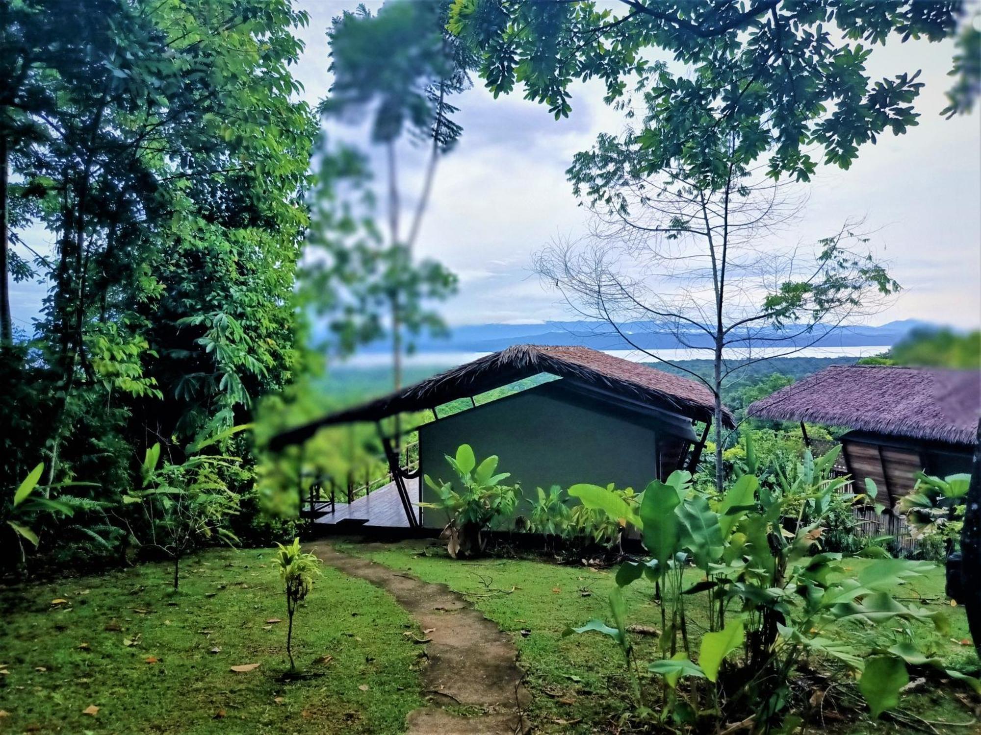 Corcovado Private Villas - Corcovado Private Reserve Puerto Jimenez Exterior photo