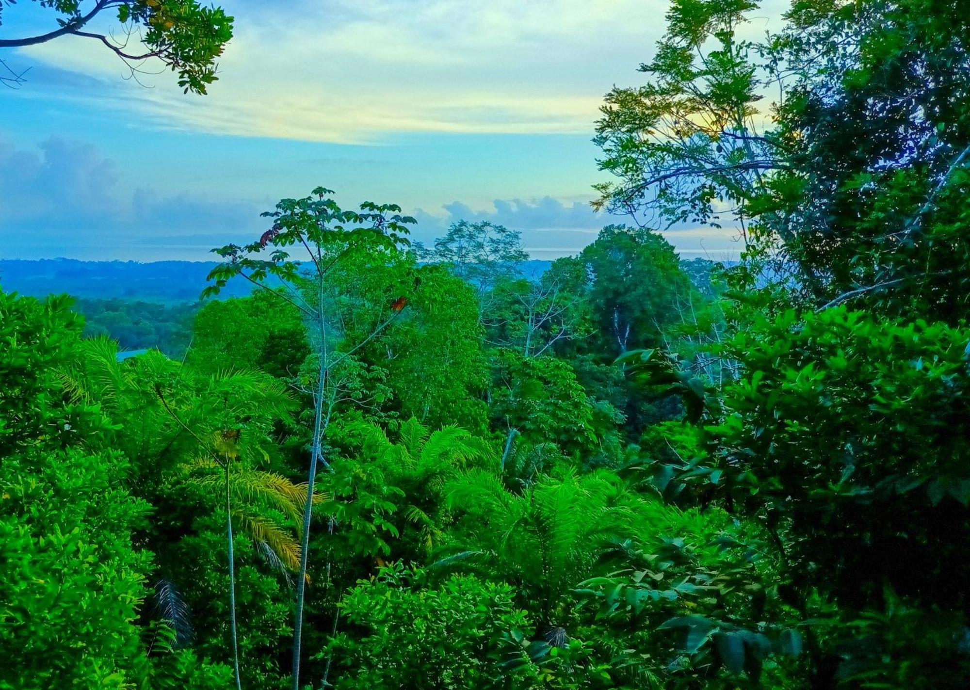 Corcovado Private Villas - Corcovado Private Reserve Puerto Jimenez Exterior photo