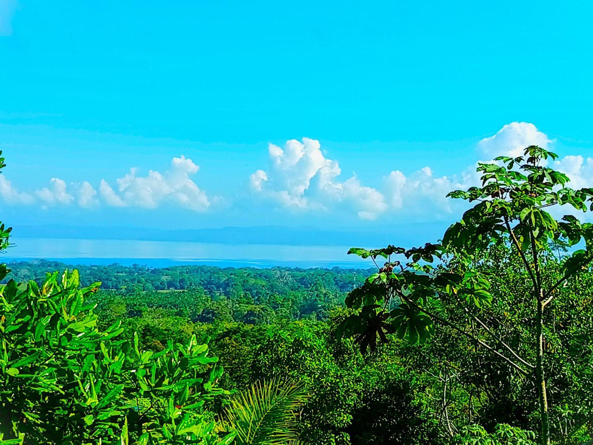 Corcovado Private Villas - Corcovado Private Reserve Puerto Jimenez Exterior photo